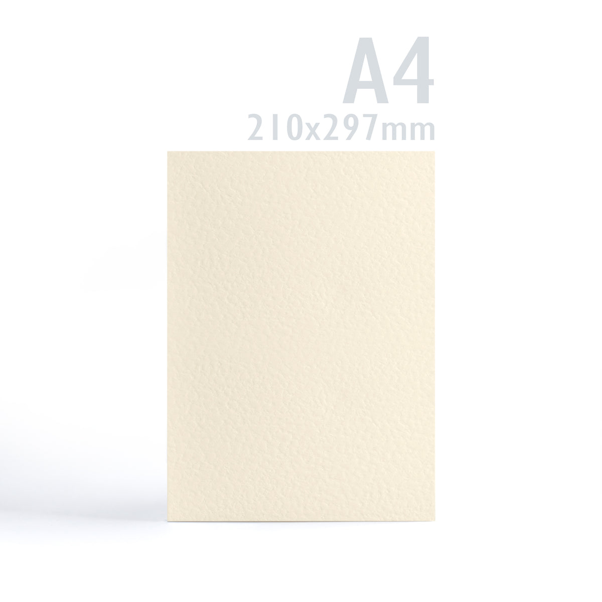 Carte 300 g/m² lot de 100 pièces