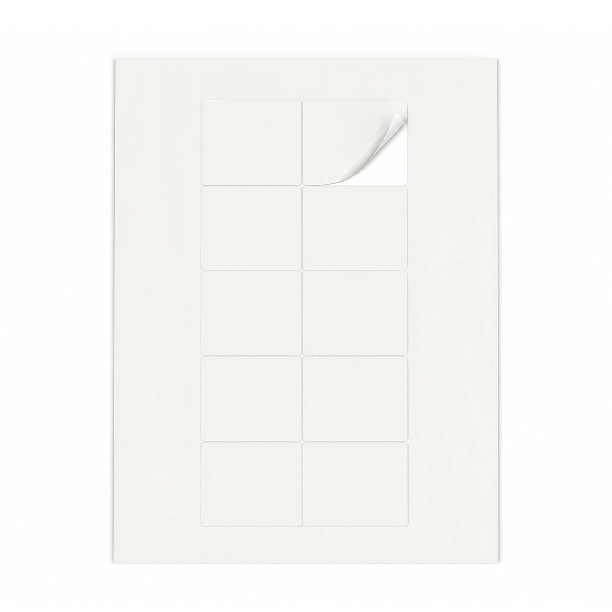 Lots d'étiquettes blanches M - 100 feuilles