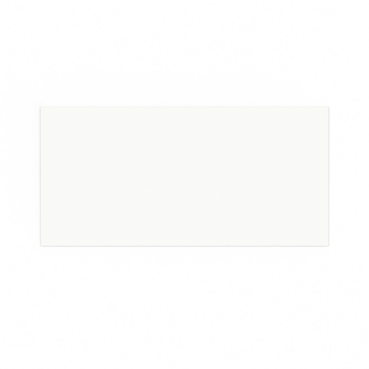 DL Enveloppe blanche avec opacité intérieure 100GSM (110 x 220mm)