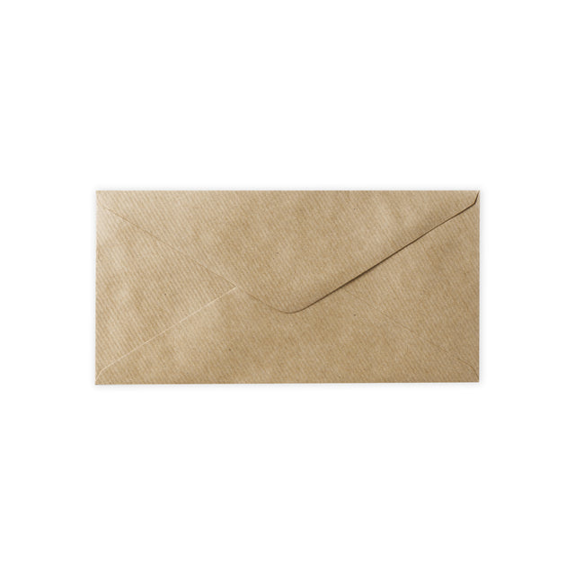 DL Fleck Gummed V-Flap Envelope (110 x 220mm)
