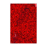 Sachets Alus Holographiques